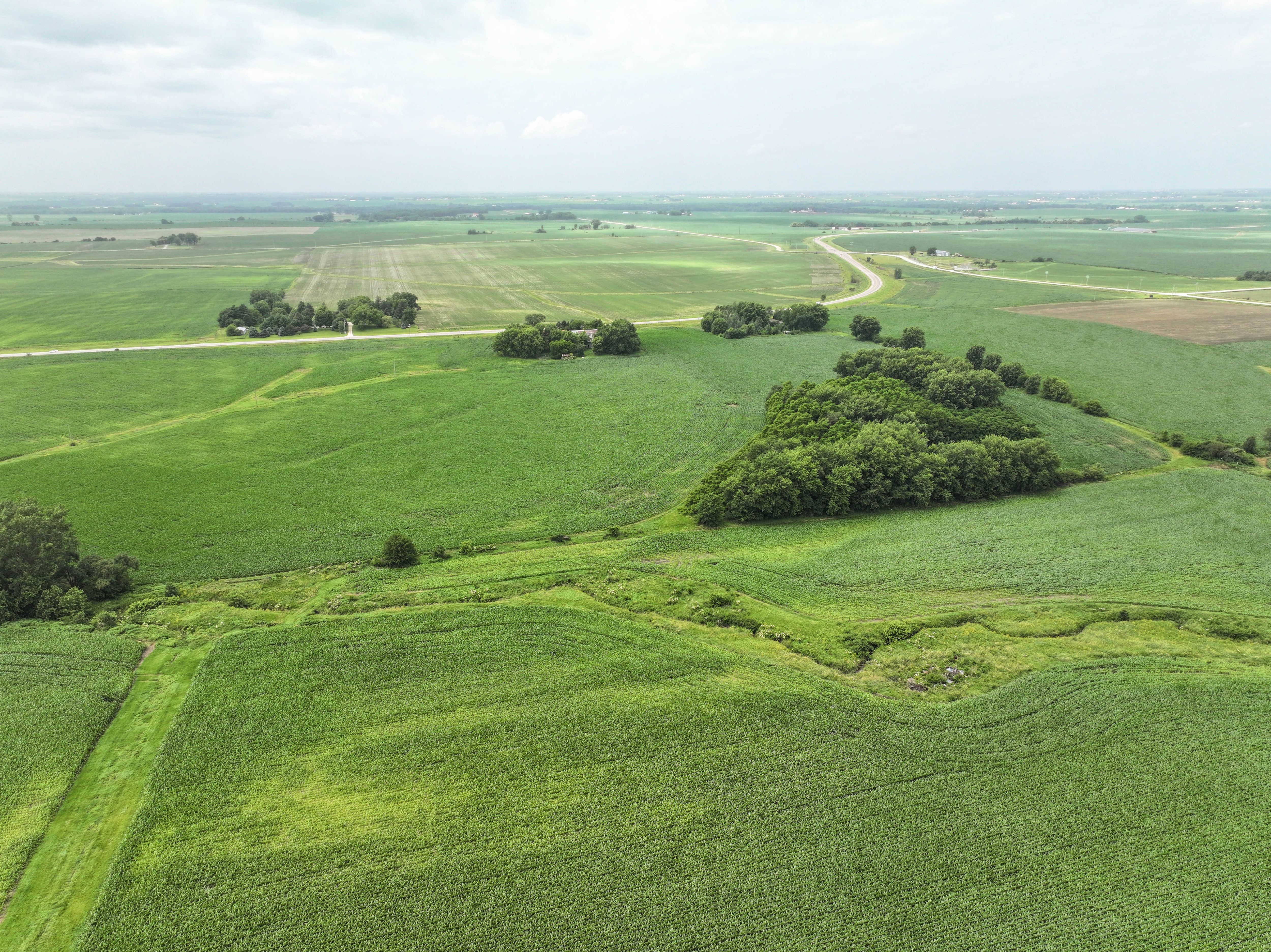 Listing Photo: 2 - Buchanan Co Farmland
